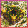 Faction Bundle #1