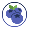 BerrySkyWars