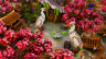 [-50%]⛰️Oriental Spawn⛰️ icon