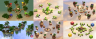 [PACK] - 6x BedWars Classic maps
