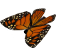 Butterfly Pack #1