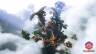 Halloween - Kingdom SkyBlock