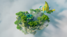 Pixelmon Gym Bundle