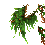 Cosmetic Wigns | Forest