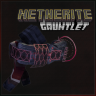 🔥Netherite Gauntlet🔥