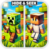 Hide and Seek (Minigame)